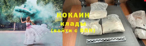 дживик Алзамай