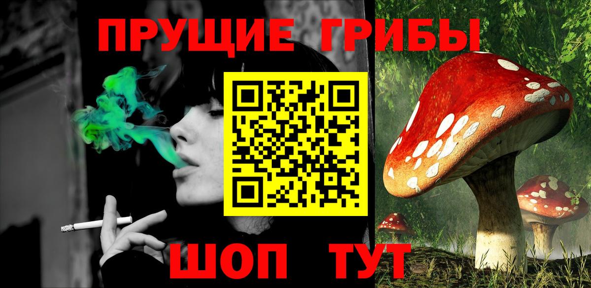 Югорск  Псилоцибиновые грибы прущие грибы  Вход с VPN 